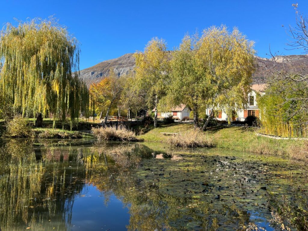 Jardin - Vue étang et maison en été