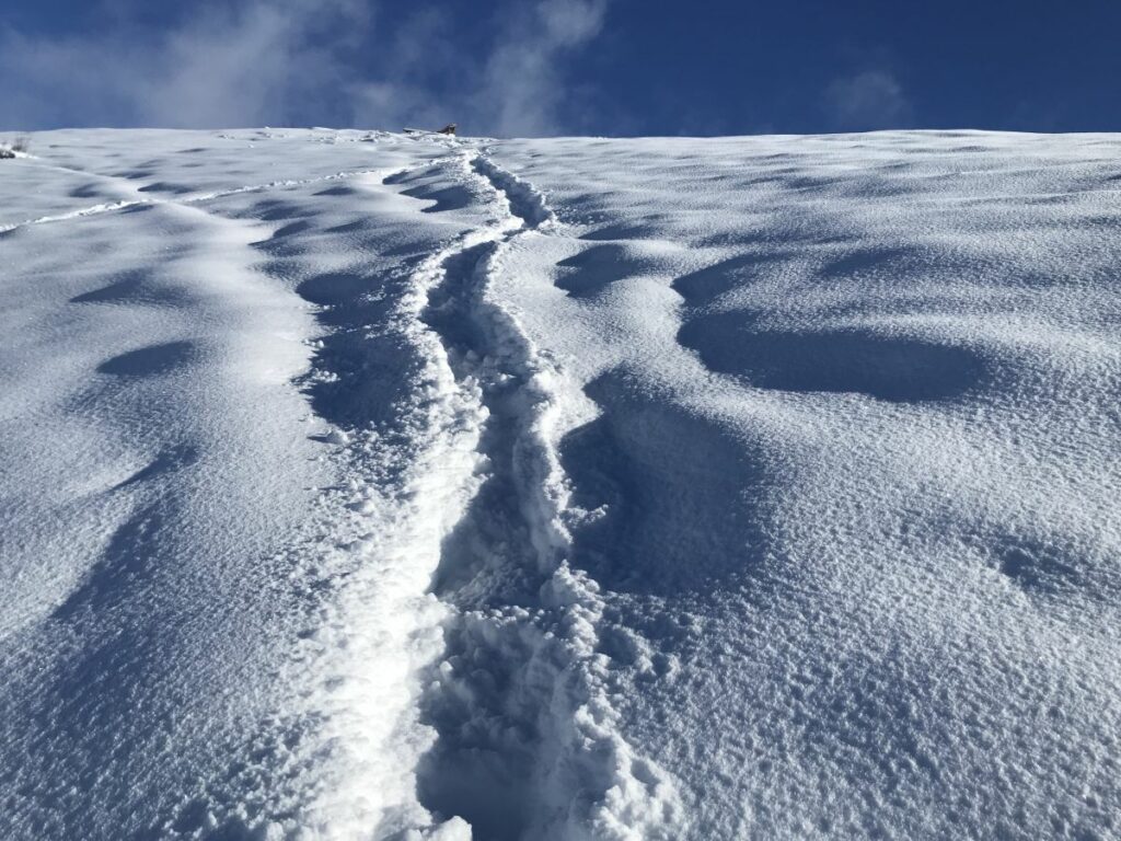 Randonnée raquette au Pic de Charance