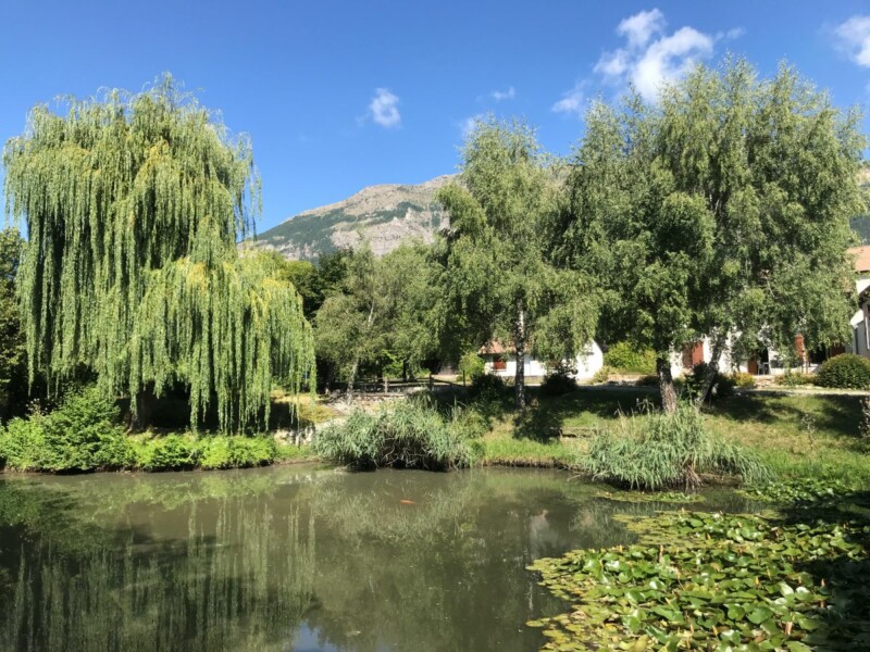Vue du jardin et de l'étang naturel