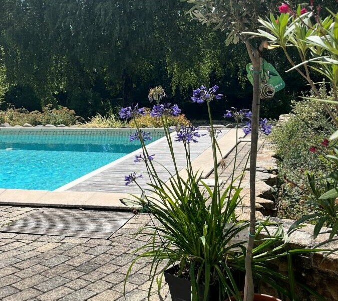 Piscine arborée