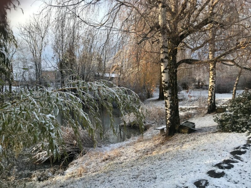 Jardin enneigé